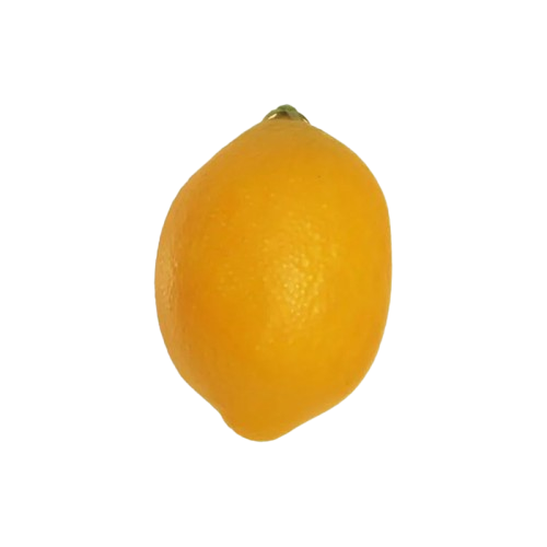 Citrons artificiels - Lot de 10